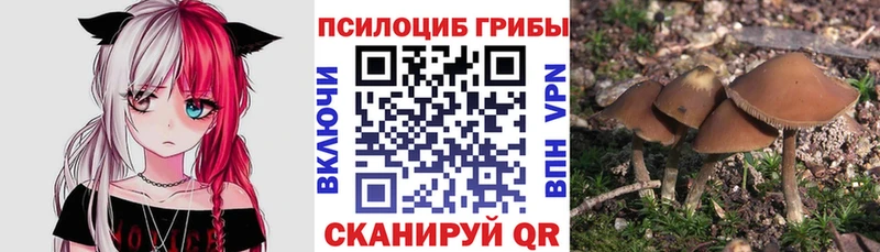 сколько стоит  Алупка  Галлюциногенные грибы Psilocybe 